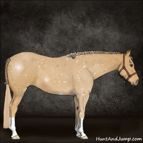 Horse Color:Palomino 