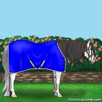 Horse Color:Grullo Splash Varnish 