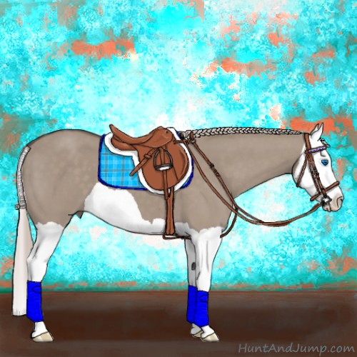 Horse Color:Silver Grullo Splash 