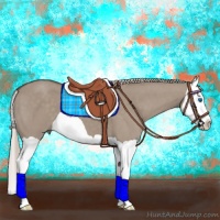 Horse Color:Silver Grullo Splash