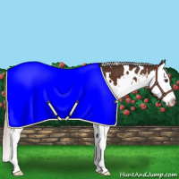 Horse Color:White Spotted Silver Brown Splash 