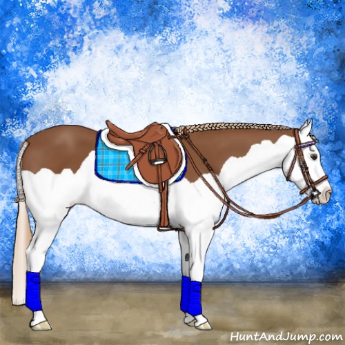 Horse Color:Chestnut Splash