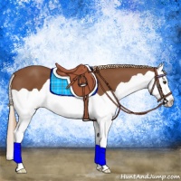 Horse Color:Chestnut Splash 