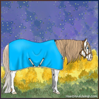 Horse Color:Chestnut Sabino Splash 