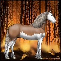 Horse Color:Chestnut Sabino Splash 