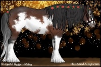 Horse Color:Brown Splash Frame Rabicano