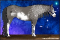 Horse Color:White Spotted Grullo Frame