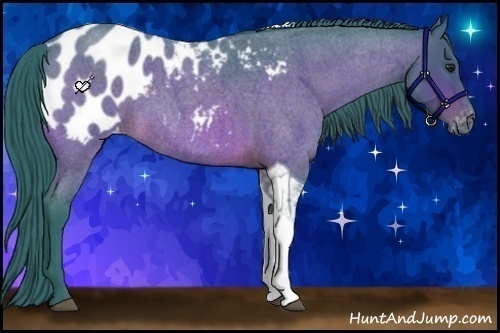 Horse Color:Watercolor Brown Roan Tobiano Appaloosa Rabicano 