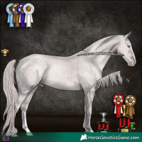 Horse Color:Platinum Chocolate Perlino 