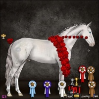 Horse Color:Platinum Chocolate Perlino