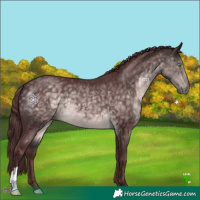 Horse Color:Platinum Chocolate Buckskin