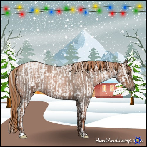 Horse Color:Gray Chestnut Sabino Appaloosa  and Gray Liver Red Roan Pearl Rabicano 