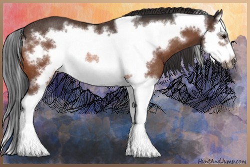 Horse Color:Bay Splash Frame Rabicano