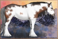 Horse Color:Bay Splash Frame Rabicano 