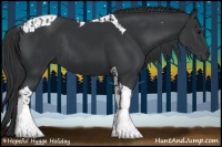 Horse Color:Black Tobiano Rabicano and Black Tobiano