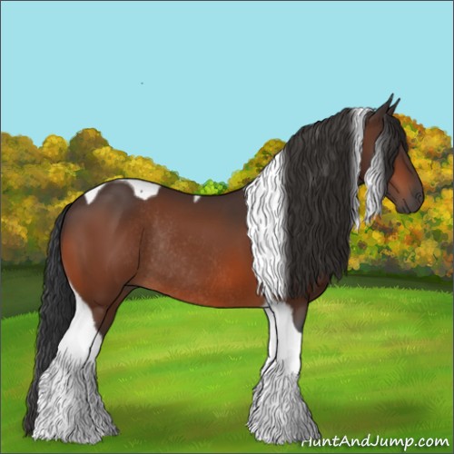 Horse Color:Bay Tobiano Rabicano
