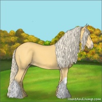 Horse Color:Palomino 