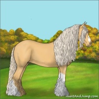 Horse Color:Palomino 