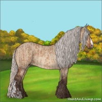 Horse Color:Silver Bay Dun and Silver Bay Dun Rabicano