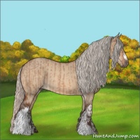 Horse Color:Silver Bay Dun and Silver Bay Dun