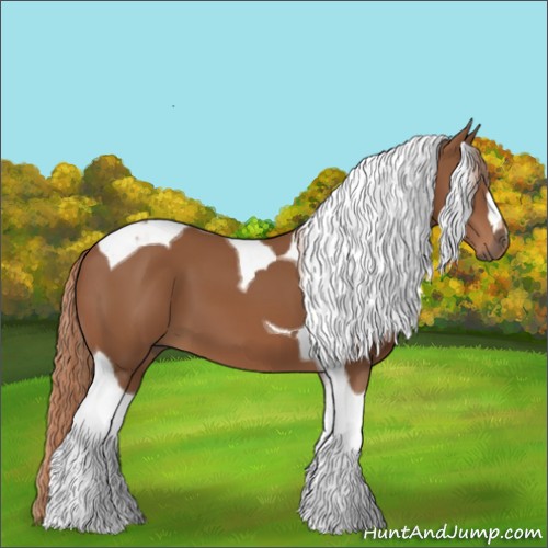 Horse Color:Chestnut Tobiano 