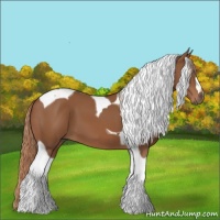 Horse Color:Chestnut Tobiano