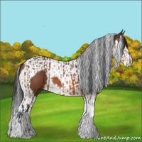 Horse Color:Bay Tobiano and Bay Splash Tobiano