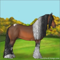 Horse Color:Bay Tobiano  and Bay Tobiano Frame 