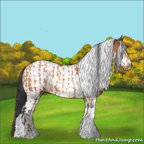 Horse Color:Bay Tobiano  and Bay Tobiano Frame 