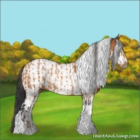 Horse Color:Bay Tobiano and Bay Tobiano Frame