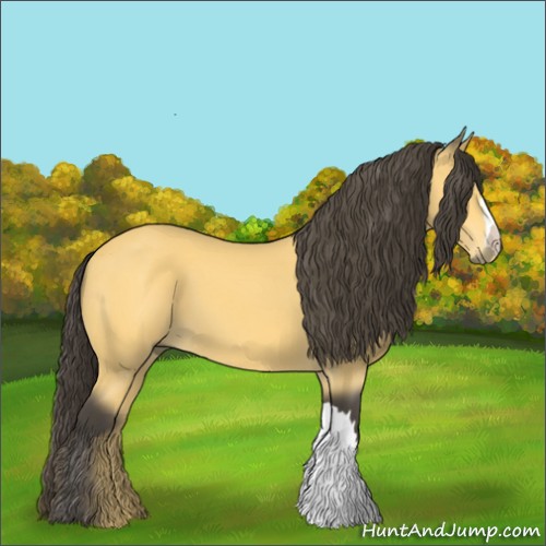 Horse Color:Buckskin 