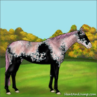 Horse Color:Watercolor White Spotted Brown Ice Dun Sabino 
