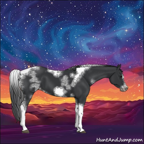 Horse Color:White Spotted Black Splash Tobiano Frame Appaloosa