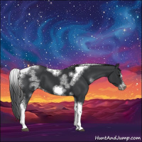 Horse Color:White Spotted Black Splash Tobiano Frame Varnish 