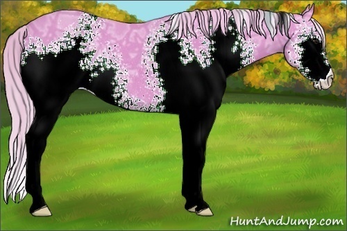 Horse Color:Watercolor White Spotted Silver Black Ice Rabicano