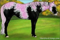 Horse Color:Watercolor White Spotted Silver Black Ice Rabicano