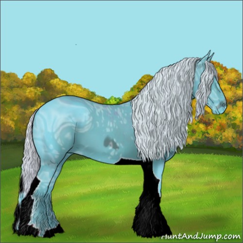 Horse Color:ERROR: UNKNOWN ANOMALY