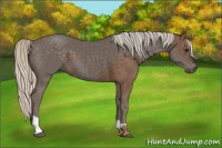 Horse Color:Silver Black and Silver Black