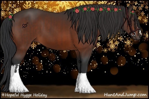 Horse Color:Brown and Brown