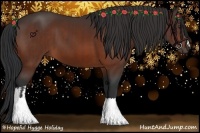 Horse Color:Brown  and Brown 