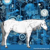 Horse Color:White Spotted Blue Roan Splash Frame Near Leopard  and White Spotted Blue Roan Splash Frame Near Leopard 