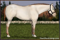 Horse Color:Buckskin Pearl Dun 