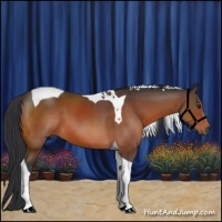 Horse Color:Brown Tobiano 