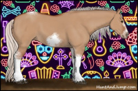 Horse Color:Silver Bay Dun Sabino Tobiano Frame Rabicano 