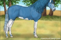 Horse Color:Watercolor Black Splash