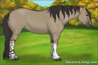 Horse Color:Smoky Grullo  and Smoky Grullo 