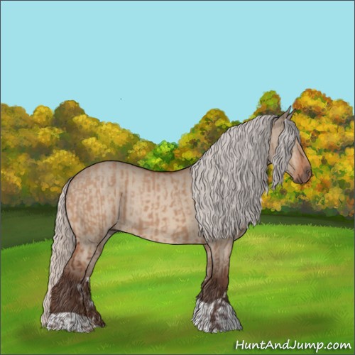 Horse Color:Silver Bay Dun  and Silver Bay Dun 