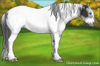 Horse Color:White Spotted Black Splash Tobiano Frame Blanket 