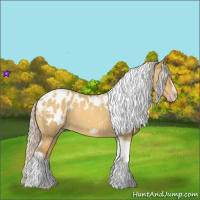 Horse Color:Gray Silver Amber Cream Champagne Roan Dun Splash Tobiano Frame Appaloosa Rabicano 