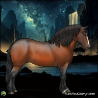 Horse Color:Bay Splash Frame Rabicano 